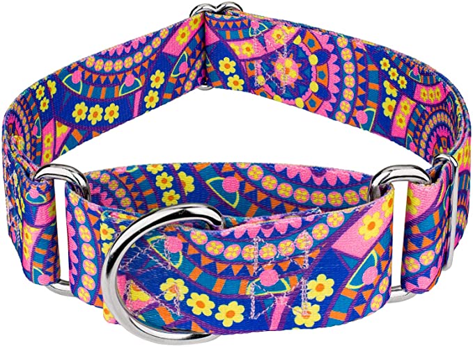 Country Brook Petz - Martingale Dog Collar - Groovy Collection