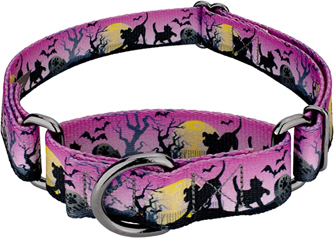 Country Brook Petz - Martingale Dog Collar - Halloween Collection with 15 Spooky Designs - Graveyard