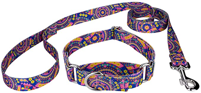 Country Brook Petz - Martingale Dog Collar & Leash - Groovy Collection