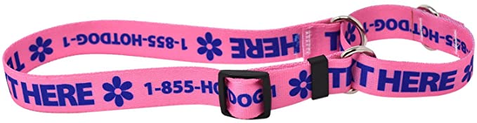 Custom Personalized Martingale Dog Collar