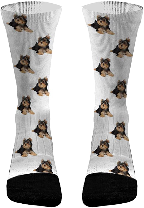 Custom Pet Socks Face Socks Cat Socks Custom Dog Socks Custom Socks with Face