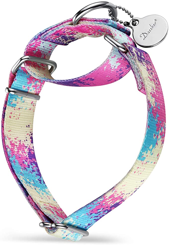 Dazzber Martingale Dog Collars Colourful Oil Painting Pattern Series