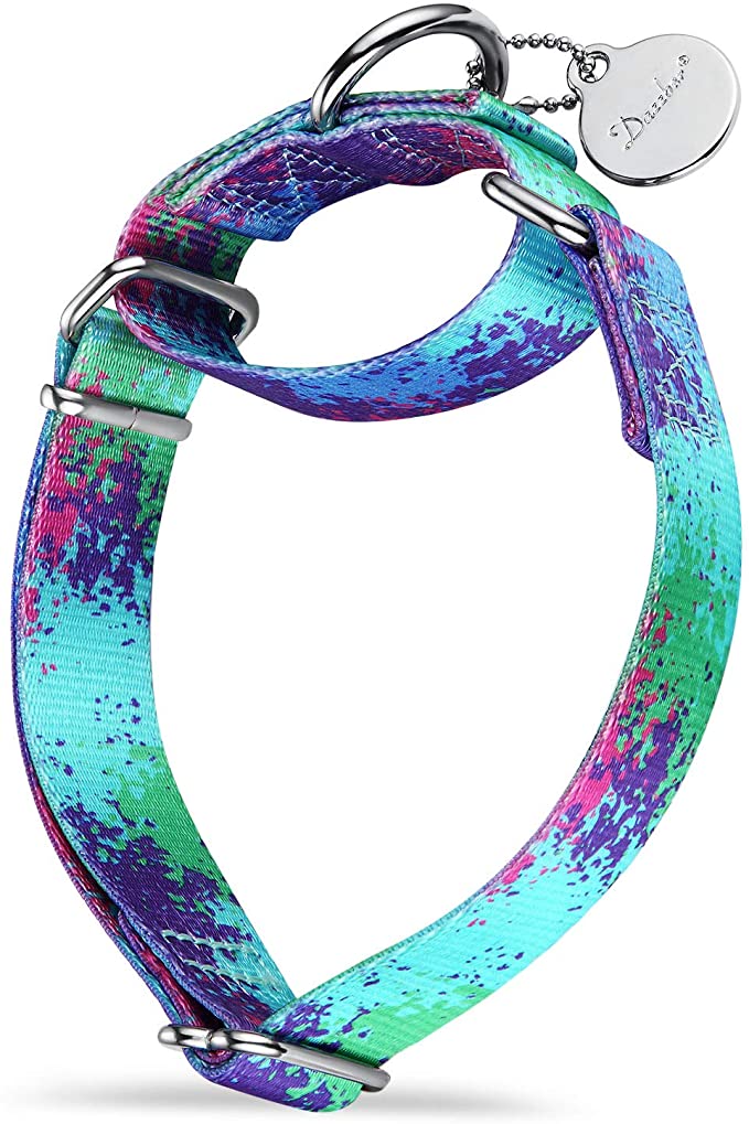 Dazzber Martingale Dog Collars Colourful Oil Painting Pattern Series - No Pull Pet Collar Silky Soft for Medium and Large Dogs - ç”Ÿæ€ç»¿