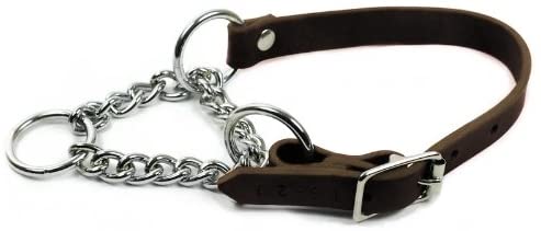 Dean and Tyler "LEATHER MARTINGALE", Dog Choke Collar with Chrome Plated Steel Chain