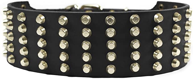 Dean and Tyler "WIDE STUD", Extra Wide Leather Dog Collar with Strong Nickel Studs - Black - Size 20-Inch by 2-3/4-Inch