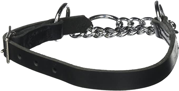Dean & Tyler Leather Martingale Adjustable Chrome Plated Steel Choke Dog Collar