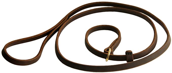 Dean & Tyler's DT Slip New 2 in 1 Slip Leash - 6 Foot by 3/4" Width - Brown - Combination Choke Collar and Leash - Full Grain Leather with Solid Brass Hardware. Includes Stopper.