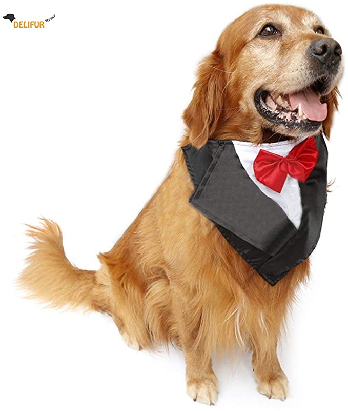 Delifur Wedding Tuxedo Large Dog Bandana with Bowtie Adjustable Pet Collar Scarf for Wedding Party or Halloween