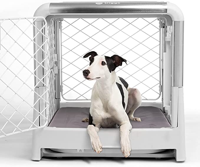 Diggs Revol Dog Crate (Collapsible Dog Crate, Portable Dog Crate, Travel Dog Crate - Ash x Medium
