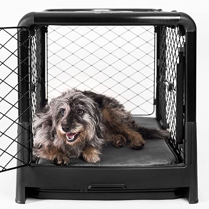 Diggs Revol Dog Crate (Collapsible Dog Crate, Portable Dog Crate, Travel Dog Crate, Dog Kennel) for Small and Medium Dogs and Puppies