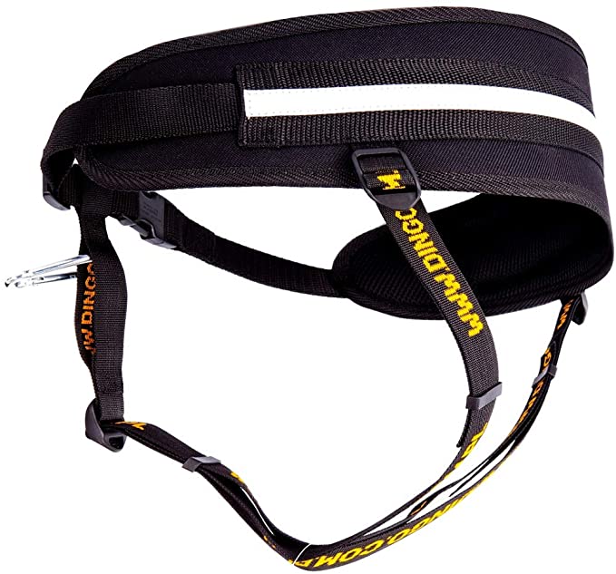 Dingo Canicross Belt 4 in 1 Handmade Adjustable Safe Comfortable Multifunctional Free Hands Waist Belt for Dog Run Sport