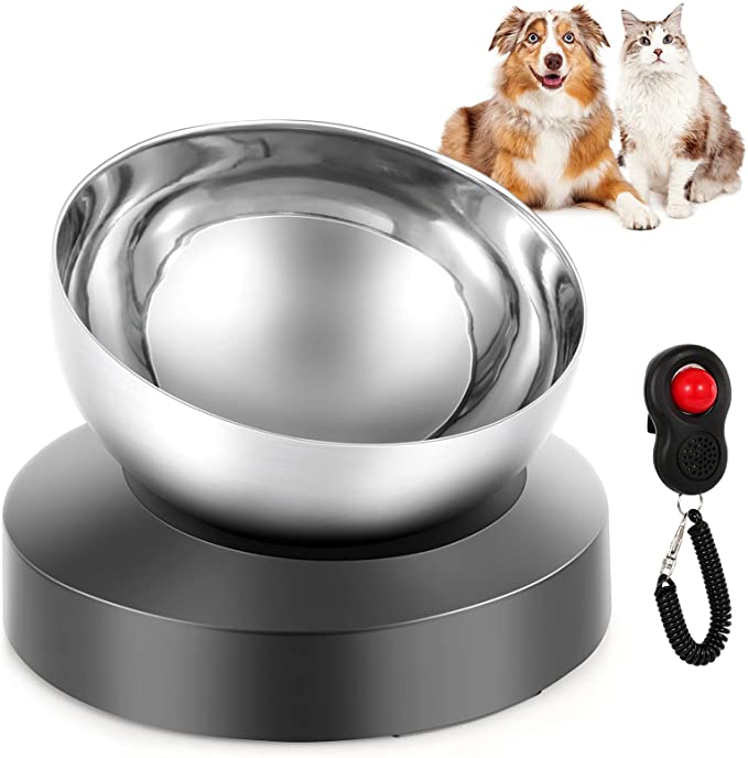 Dog Cat Bowls:Raised Tilted Cat Food Bowl,Stainless Steel Cat Dish Anti Vomiting Elevated with Stand,Ergonomic Lifted Slanted Angle Pet Feeding Bowls for Cats and Dogs