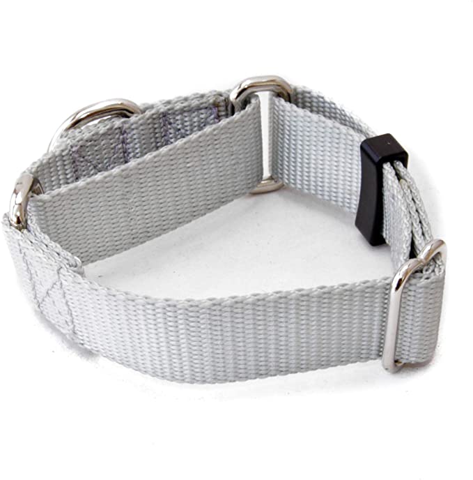 Dog Collar - 1 Inch Width Martingale Collar - Heavy Duty Nylon (1" Width Dog Collars