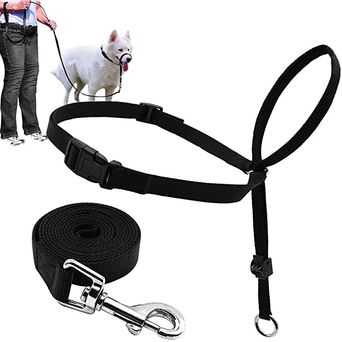 Dog Head Collar, Adjustable and Padded, No-Pull Training Tool for Dogs on Walks, Includes 1 Dog Leash and Free Training Guide, 3