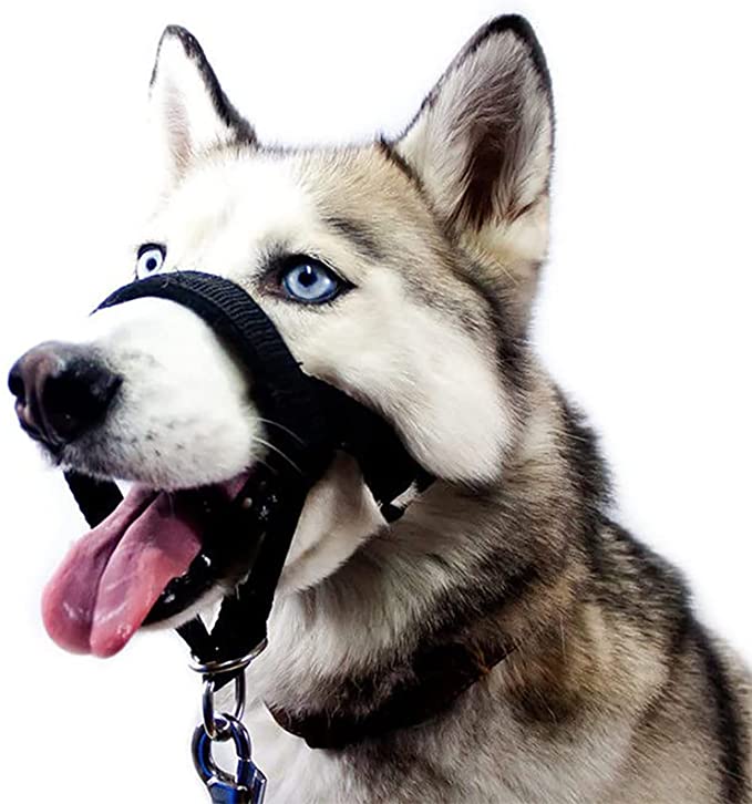 Dog Head Collar, Dog Muzzle,Head Halter Collar for Dogs