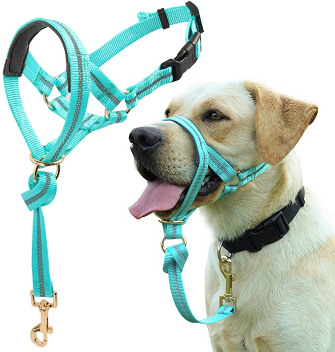 Dog Head Collar, No Pull Dog Halter with Soft Padding, Durable, Reflective Training Tool for Medium Large Dogs, Labrador, Stops Heavy Pulling and Easy Control on Walks, Includes Free Training Guide