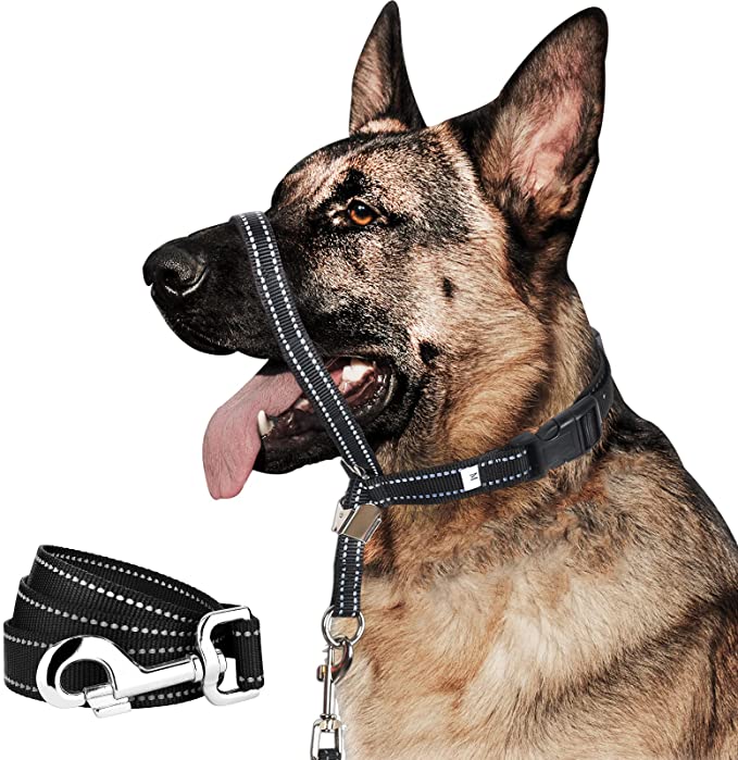 Dog Head Collar, No Pull Head Halter, Soft Headcollar Stops Dogs Pulling on Leash, Durable Dog Training Tool with Leash for Walking Small Medium Large Dogs