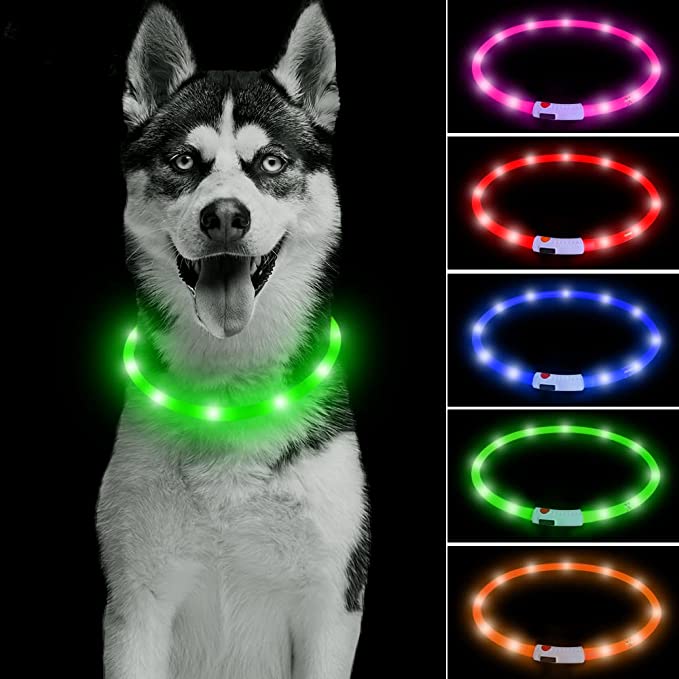DOMIGLOW USB Rechargeable LED Dog Collar - Adjustable Light Up Dog Collars Glow in The Dark Dog Lights Keep Your Pets Be Seen & Be Safe