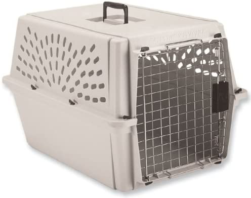 Dosckocil (Petmate) DDS21003 Plastic Classic Dog Kennel, Intermediate, Mouse Gray