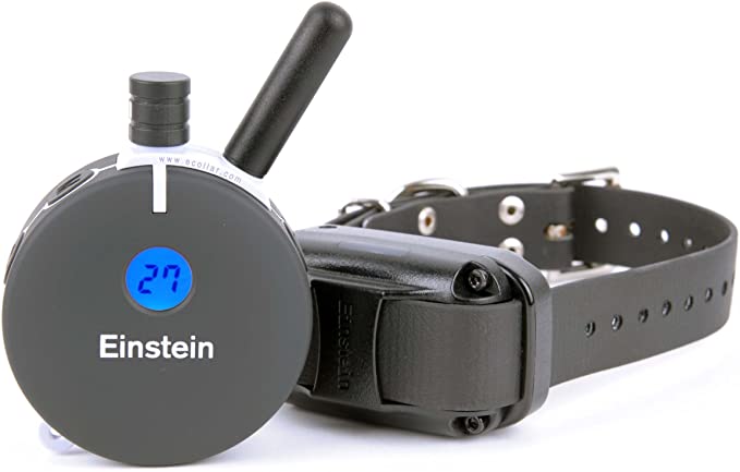 E-Collar Technologies Einstein Medium/Large Dog Remote Education Collar with Night Tracking Light