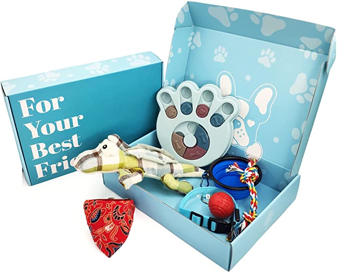 Eden's Paradise Pawrty Box - Dog Gift Box with Dog Puzzle Toys, Interactive Dog Toys, Dog Gift Set, Dog Bandana Collar, Bouncy Ball, Collapsible Dog Bowl & Mesh LED Dog Collar - Dog Lover Gifts