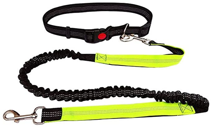 for Running Walking Training Reflective Dog Cat Jogging Traction Rope Hand Free Adjustable Waist Belt(Black Green)