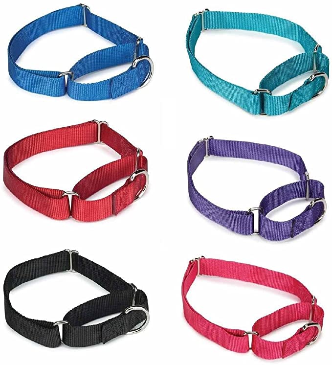 Gaurdian Gear Bulk Lot Martingale Dog Collars at Wholesale Prices Nylon Collar Multi Packs - Assorted - 10 to 16