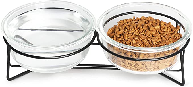 GDCZ Glass Raised Cat or Small Dog Bowls with Heighten Metal Stand for Pet Food and Water Dishes 