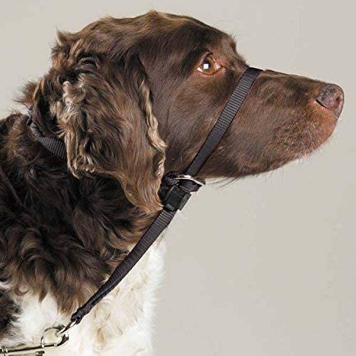 Gentle Leader Dog Head Collars - Training Stop Pulling Lunging Unwanted Behavior(Medium