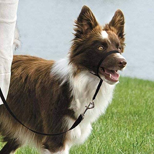 Gentle Leader Dog Head Collars - Training Stop Pulling Lunging Unwanted Behavior(Small