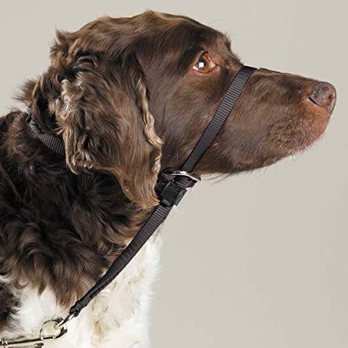 Gentle Leader Dog Training Headcollars Safely Teach Your Pup to Walk Straight(Large Headcollar Black)