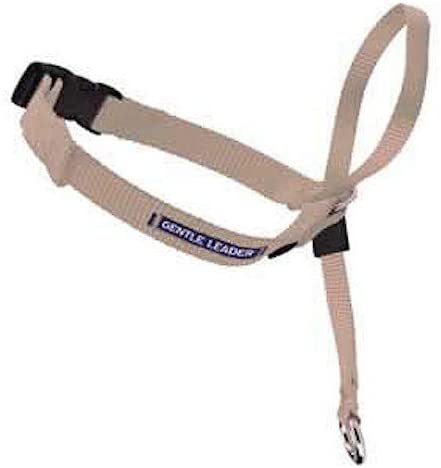 Gentle Leader Quick Release Headcollar: Large, Fawn
