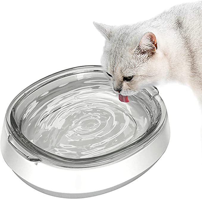 Glass Cat Food Bowls, Shallow Water Bowl for Cats Kitties Puppy and Small Dogs