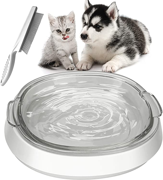 Glass Dog Cat Food Bowls, Water Bowl for Cats and Small Dogs, Transparent Glass Pet Bowl 