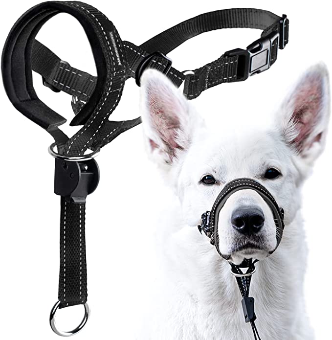 GoodBoy Dog Head Halter with Safety Strap - Stops Heavy Pulling On The Leash - Padded Headcollar for Small Medium and Large Dog Sizes - Head Collar Training Guide Included