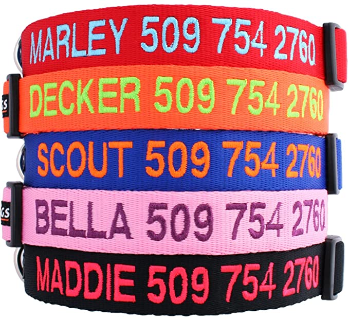 GoTags Personalized Dog Collar, Custom Embroidered with Pet Name and Phone Number in Blue
