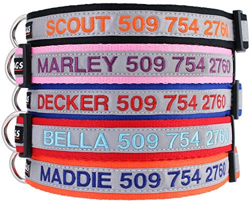 GoTags Reflective Personalized Dog Collar, Custom Embroidered with Pet Name and Phone Number in Blue