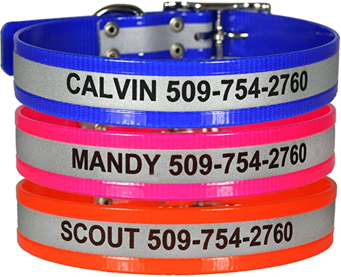 GoTags Reflective Waterproof Dog Collars Personalized, Engraved with Pet Name and Phone Number