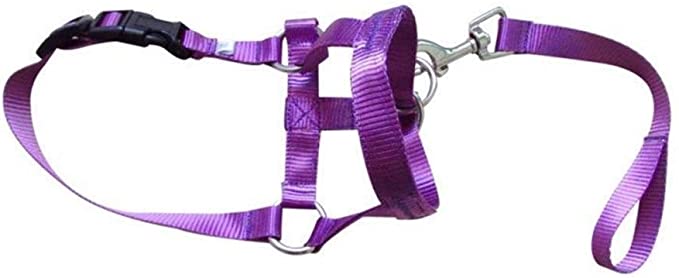 HABADOG Nylon Dogs Head Collar Dog Training Halter Blue Red Black Colors S M L XL XXL Sizes - Purple