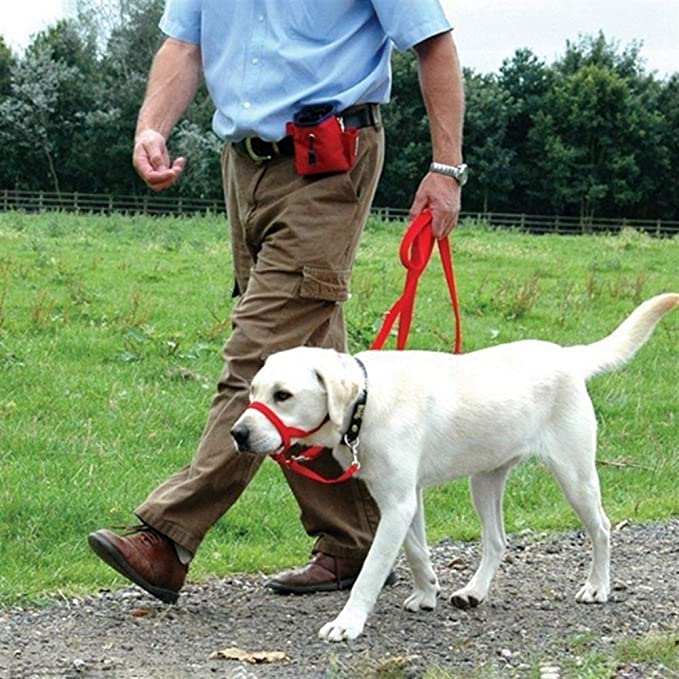 HABADOG Pet Dog Anti Bark Bite Head Leash Nylon Dog Training Head Collar No Pull Safe Mouth Harness Stops Dog Pulling with Head Leash - Black