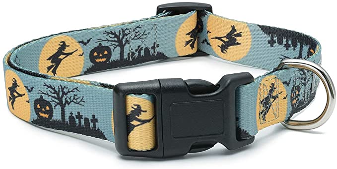 Halloween Dog Collar - The Witch