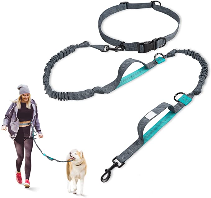 Hands Free Dog Leash with Adjustable Waist Belt for Medium and Large Dogs,Dual Padded Handles, Retractable Bungee and Reflective Stitches for Walking Hiking Running