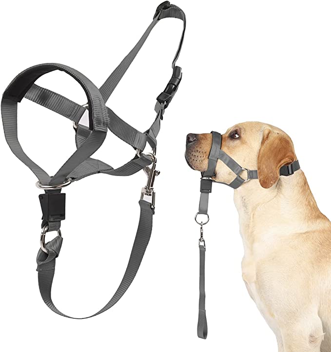Head Collar for Dogs, No Pull Dog Head Halter with Soft Padding
