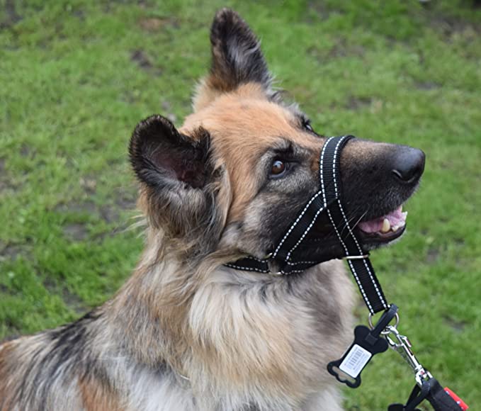 Headcollar Set , Reflective Padded Head Collar and Lead Dog Training Halter Stops Dog Pulling Training Tool (Reflective Black, 5)