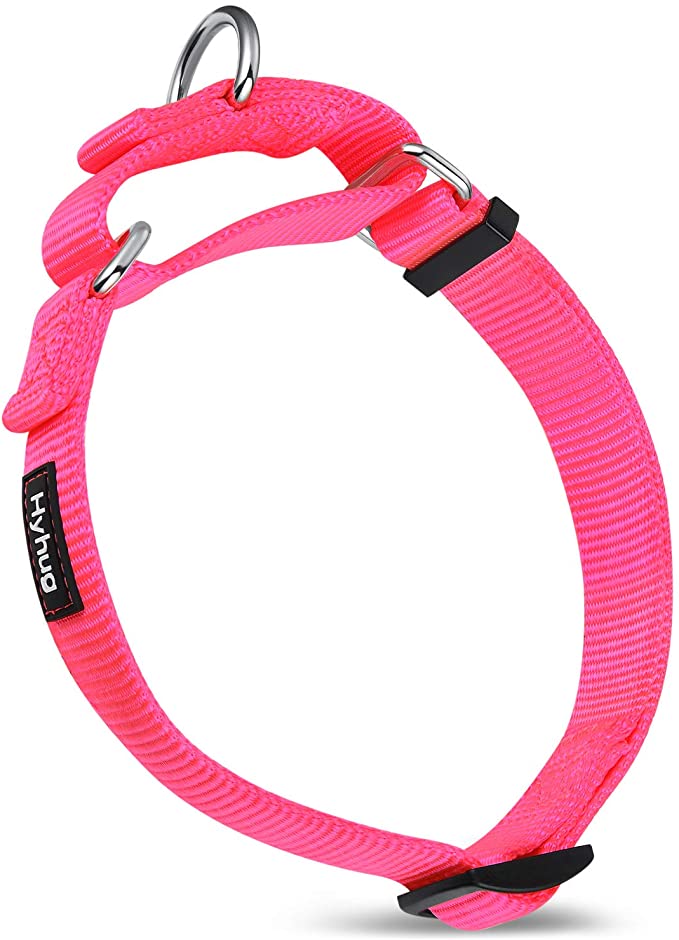 Hyhug Pets Premium Upgraded Heavy Duty Nylon Anti-Escape Martingale Collar for Boy and Girl Dogs Comfy and Safe - Professional Training