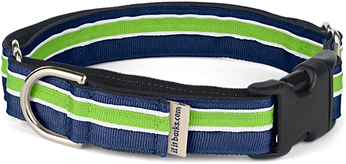 If It Barks 1" Martingale Collar for Dogs, Adjustable Nylon, USA Made