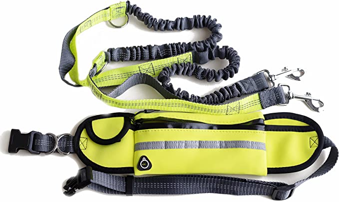 Jogging Hands Free Bungee Reflective Dog Leash Fanny Pack