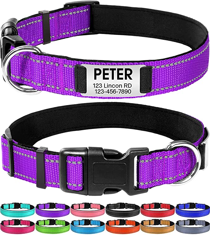 Joytale Personalized Dog Collar with Engraved Slide on ID Tags,Custom Reflective Collars for Extra Large,Large,Medium,Small,Extra Small Dogs