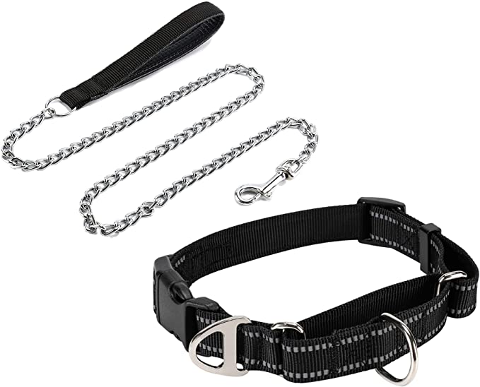 JuWow Metal Dog Leash (3mm X 4 Foot) and Martingale Nylon Safety Training Collar (Black, 14-17" Neck x 1" Wide)