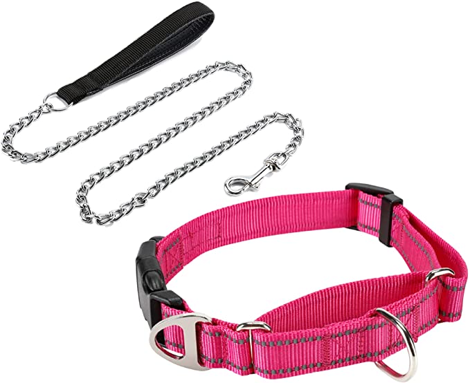 JuWow Metal Dog Leash (3mm X 4 Foot) and Martingale Nylon Safety Training Collar (Pink, 14-17" Neck x 1" Wide)